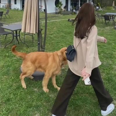 为爱献身